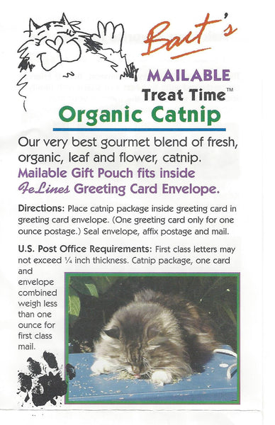 Bart's Mailable Treat Time - Inside 1