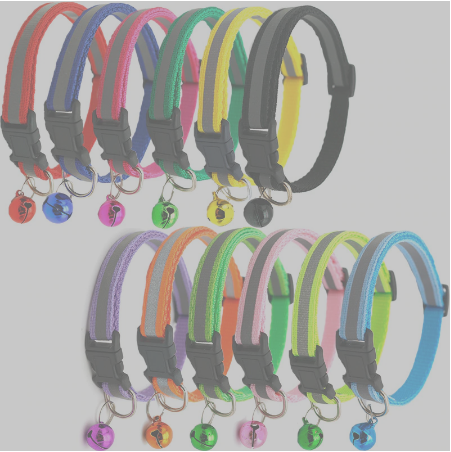 Cool Cat Collar with Bell in 12 Great Colors